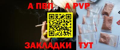 ешки Кингисепп