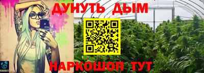 ешки Кингисепп