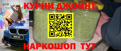 ешки Кингисепп