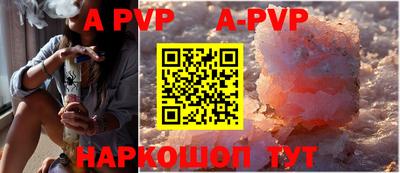 ешки Кингисепп
