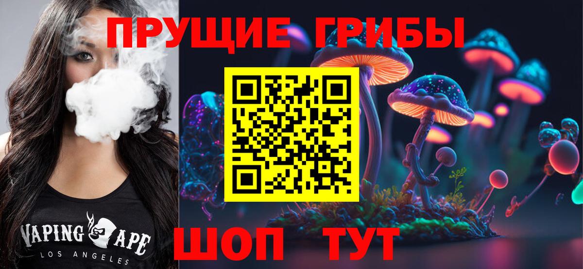 что такое   Вход с VPN  Кыштым  Псилоцибиновые грибы мицелий 
